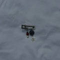 Polka Ladybug clip