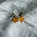 Gold stud glass earrings
